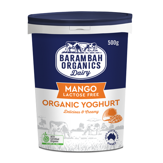 500g of Real Mango Yoghurt - organic natural yoghurt - Barambah Organics