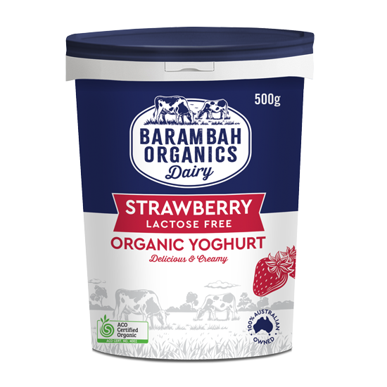 500g of Real Strawberry Yoghurt - Organic Natural Yoghurt - Barambah Organics